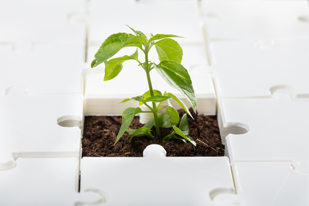 What are the best impact investing strategies?